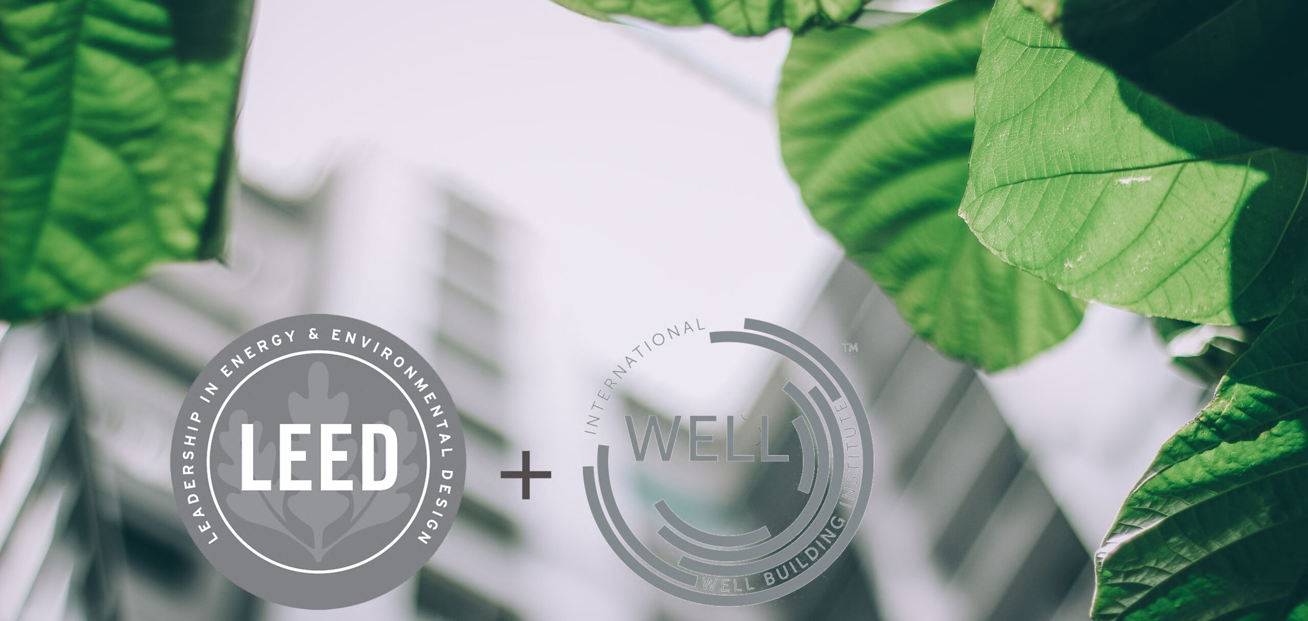 LEED and WELL Streamlined Certification Process