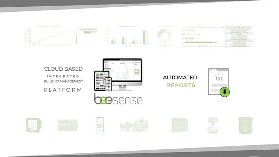 2025 BEE SENSE TRAINING | AUTOMATED REPORTS