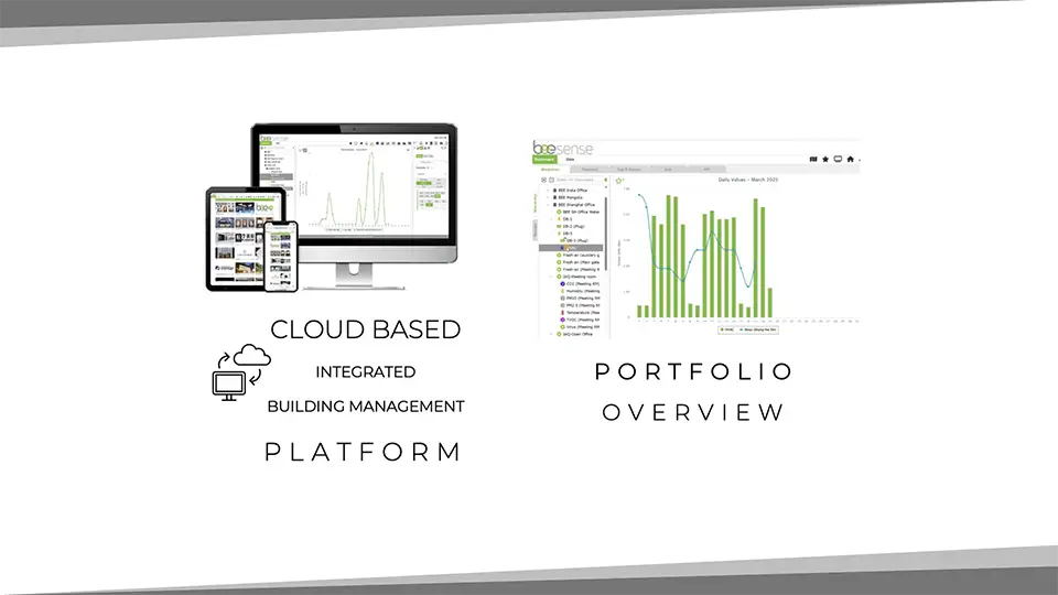 2025 BEE SENSE TRAINING | PORTFOLIO ANALYSIS