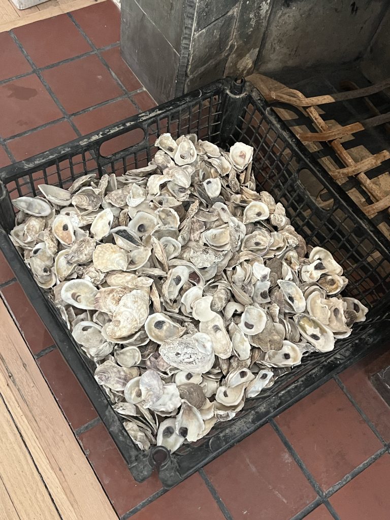 A crate of cleaned oyster shells